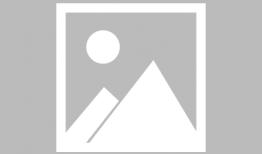 秘书视频,视频中的高效办公智慧